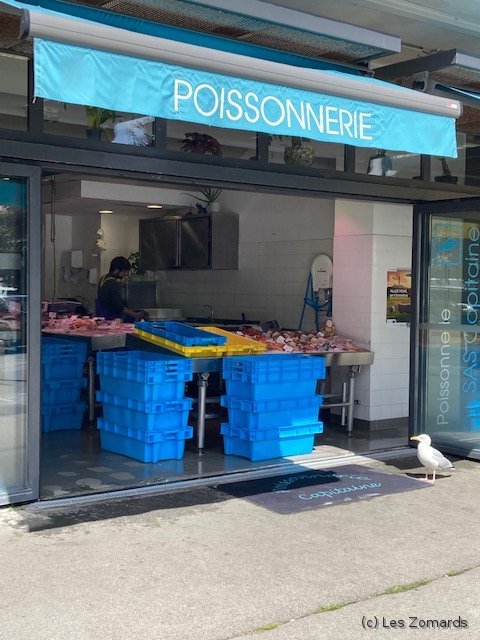 2022-06-Stage-FSGT-51