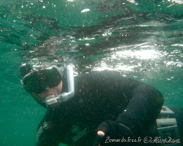 Audierne 2009 Apnee 11