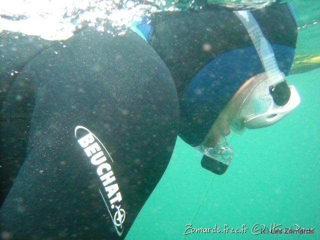 Audierne 2009 Apnee 14