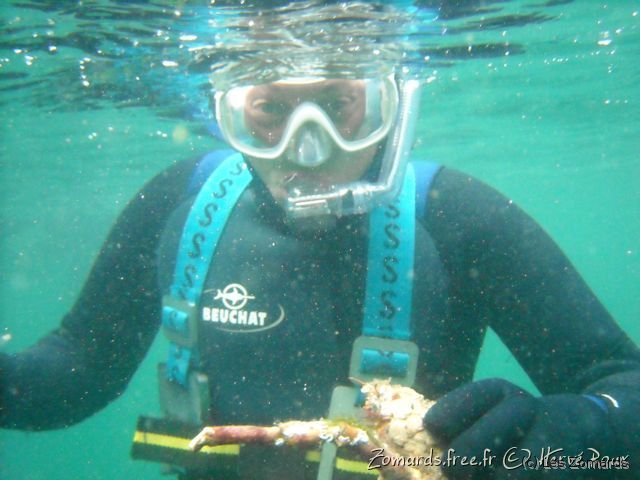 Audierne 2009 Apnee 15