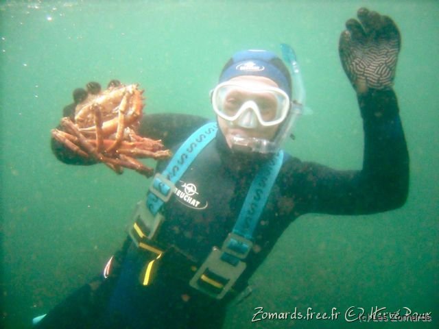 Audierne 2009 Apnee 19