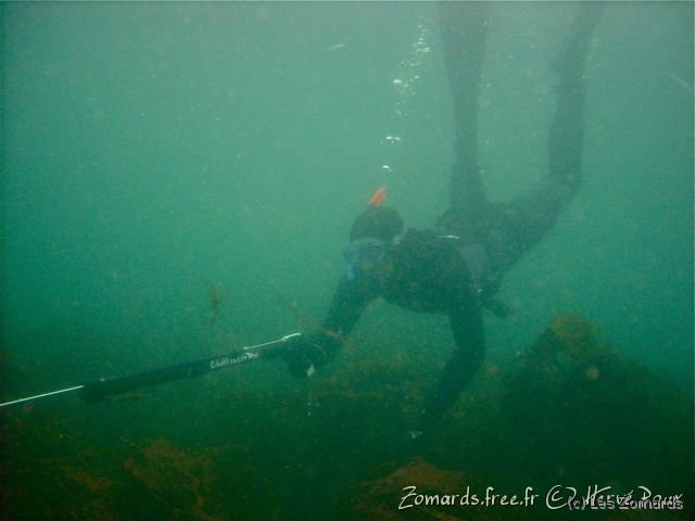 Audierne 2009 Apnee 21