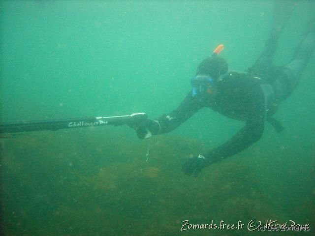 Audierne 2009 Apnee 22