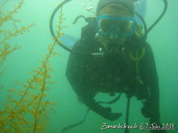 Plongee Dinard 006