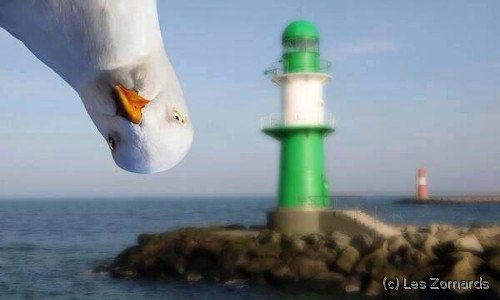 activite-inscription