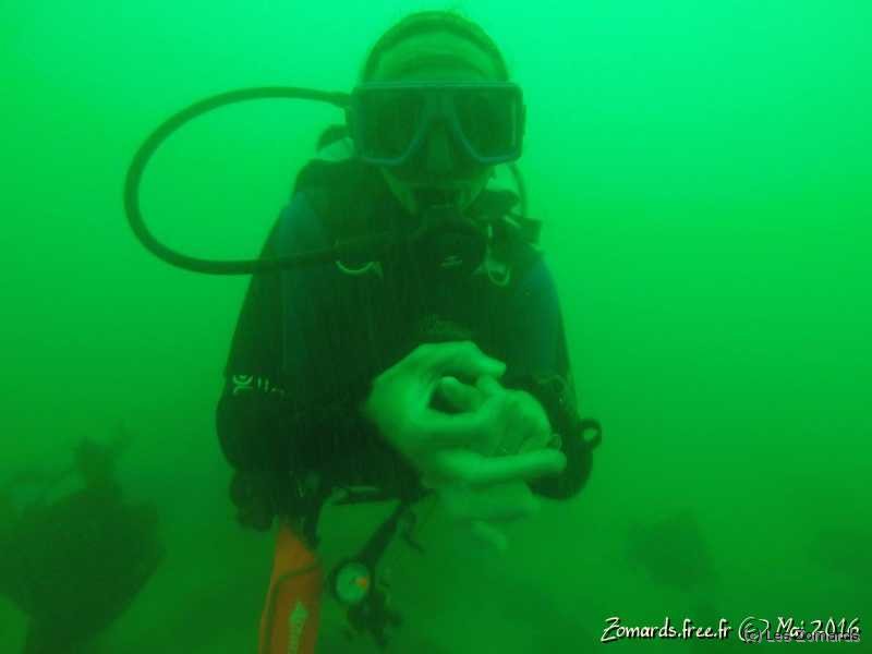 convert morlaix 2016 03